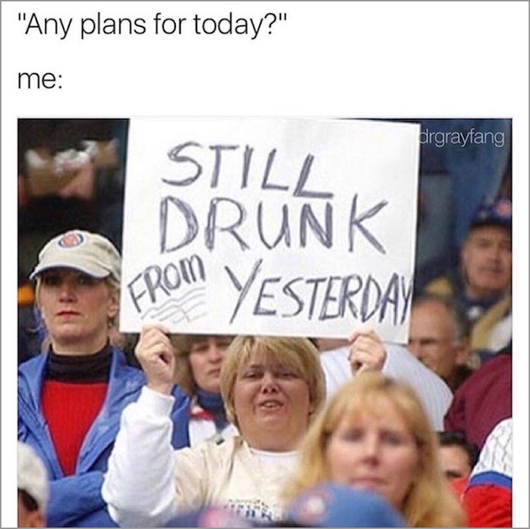 memes - funny fan sign - "Any plans for today?" me drgrayfang Still Drunk From Yesterday