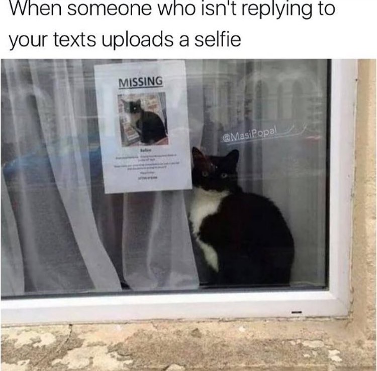 memes - beware of dog sign cat - When someone who isn't your texts uploads a selfie Missing