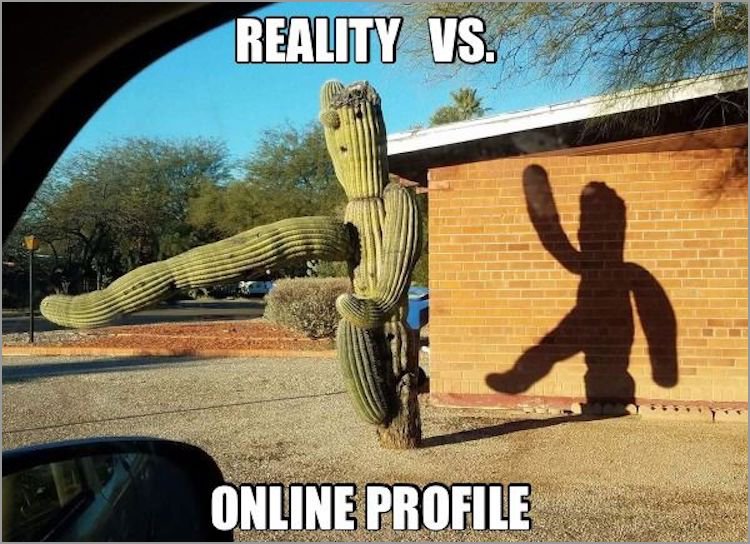 memes - GIF - Reality Vs. Online Profile