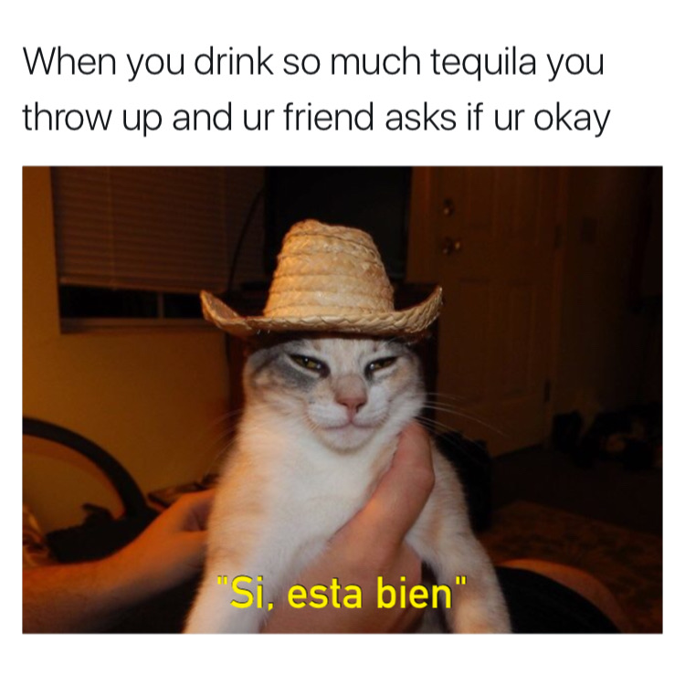 memes - si senor meme - When you drink so much tequila you throw up and ur friend asks if ur okay "Si, esta bien"