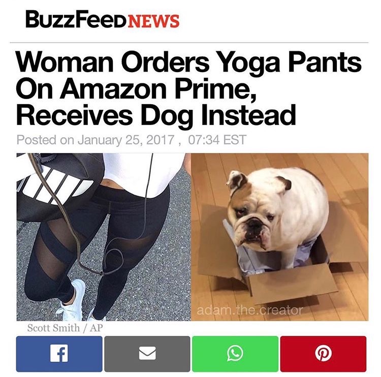 memes - amazon memes - BuzzFeeDNEWS Woman Orders Yoga Pants On Amazon Prime, Receives Dog Instead Posted on , Est adam.the.creator Scott SmithAp