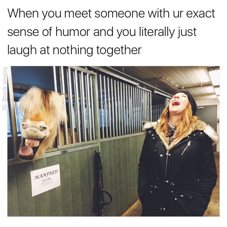 memes - friends with same sense of humor - When you meet someone with ur exact sense of humor and you literally just laugh at nothing together Ig .sinatra Manfred