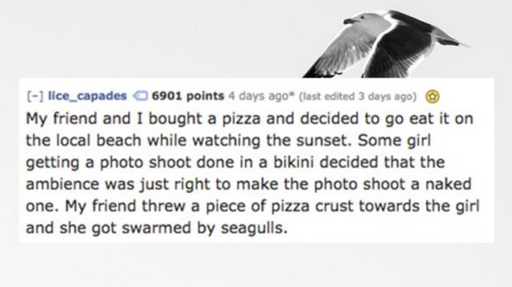 beak - lice_capades 6901 points 4 days ago last edited 3 days ago My friend and I bought a pizza and decided to go eat it on the local beach while watching the sunset. Some girl getting a photo shoot done in a bikini decided that the ambience was just rig