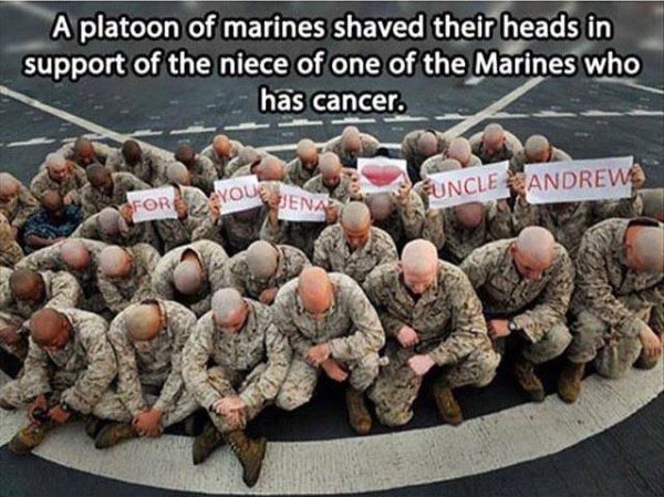 heartwarming restore faith in humanity military - A platoon of marines shaved their heads in support of the niece of one of the Marines who has cancer. For Vous Venar U Ncle Andrew