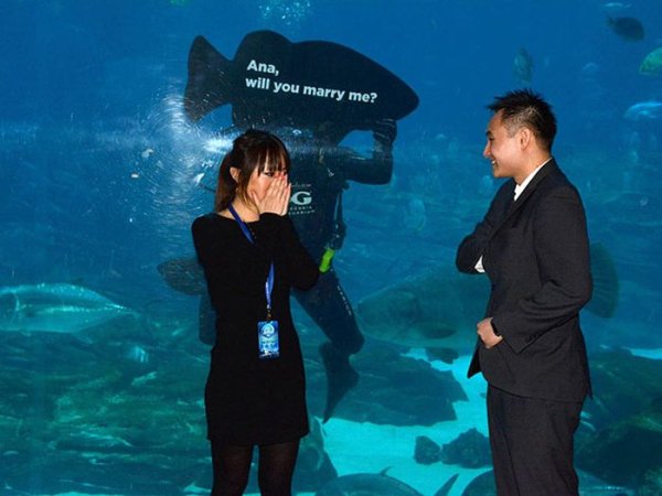 heartwarming georgia aquarium proposal - Ana, will you marry me?