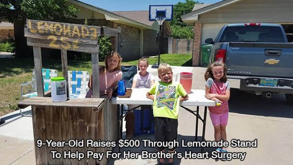 heartwarming Lemonade - 9YearOld Raises $500 Through Lemonade Stand To Help Pay For Her Brother's Heart Surgery