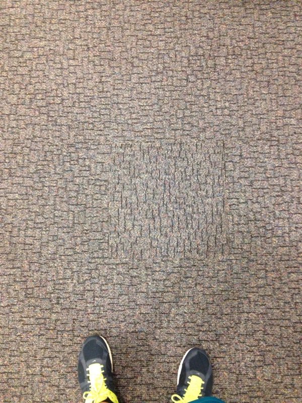 31 Images that won’t pair well with your OCD