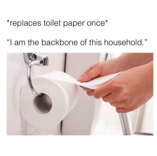 i m the backbone of this household meme - replaces toilet paper once "I am the backbone of this household.