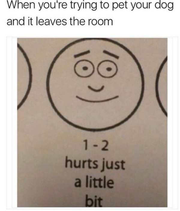 hurts just a little bit memes - When you're trying to pet your dog and it leaves the room 12 hurts just a little bit