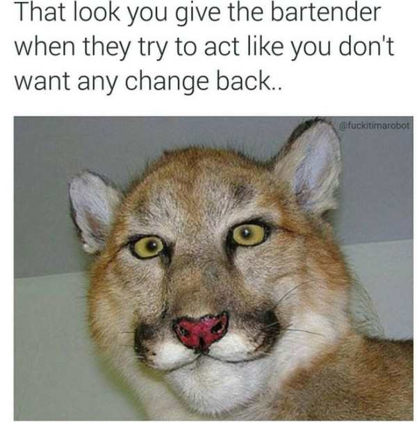 crap taxidermy - That look you give the bartender when they try to act you don't want any change back..