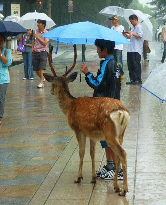 A Few Photos To Remind You That Life Is Beautiful