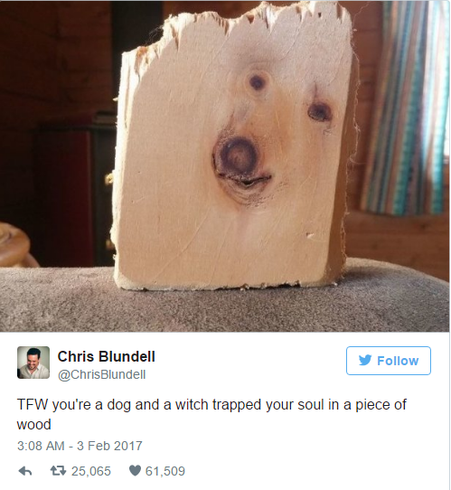 should i take my dog to the vet - Chris Blundell Tfw you're a dog and a witch trapped your soul in a piece of wood 25.065 61,509
