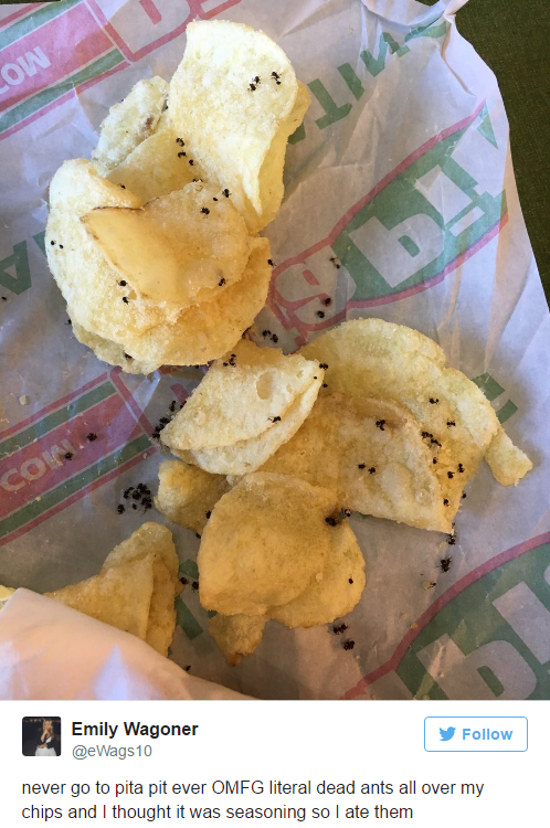 Emily Wagoner never go to pita pit ever Omfg literal dead ants all over my chips and thought it was seasoning so I ate them