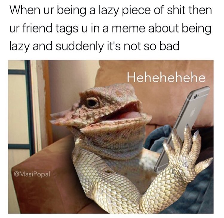 memes - being shit on meme - When ur being a lazy piece of shit then ur friend tags u in a meme about being lazy and suddenly it's not so bad Hehehehehe