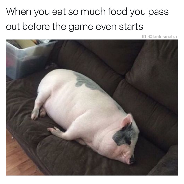 memes - conservation of energy meme - When you eat so much food you pass out before the game even starts Ig .sinatra