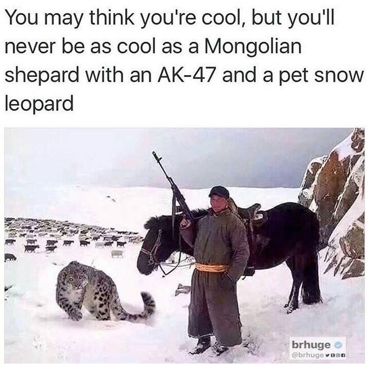 memes - mongolian shepherd and snow leopard - You may think you're cool, but you'll never be as cool as a Mongolian shepard with an Ak47 and a pet snow leopard brhuge van