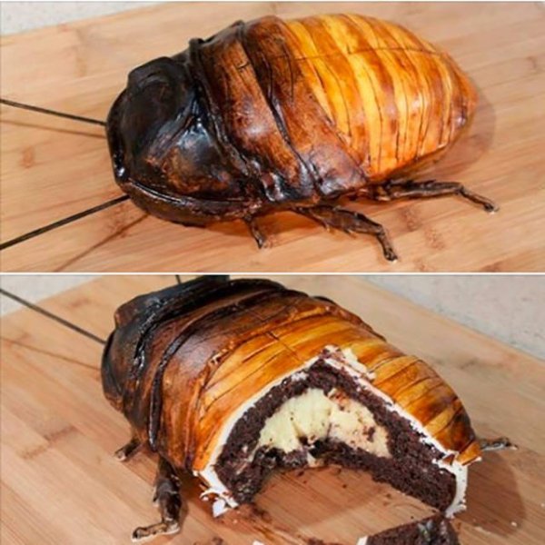 bug cake