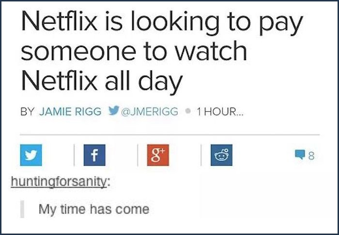 tumblr - diagram - Netflix is looking to pay someone to watch Netflix all day By Jamie Rigg Y 1 Hour... huntingforsanity My time has come