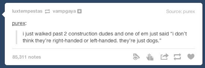 tumblr - heartbleed - luxtempestas vampgaya Source purex purex I just walked past 2 construction dudes and one of em just said "I don't think they're righthanded or lefthanded. they're just dogs." 85,311 notes