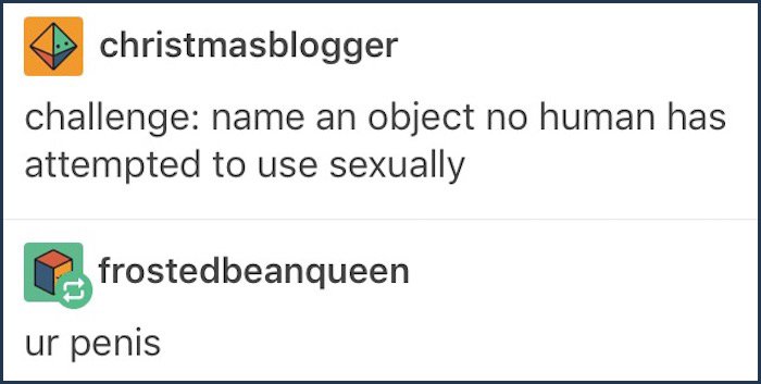 tumblr - wendy saddington - christmasblogger challenge name an object no human has attempted to use sexually frostedbeanqueen ur penis