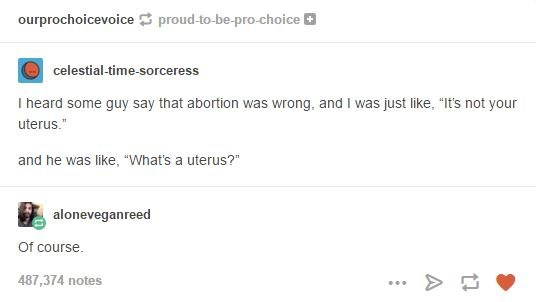 screenshot - ourprochoicevoice proudtobeprochoice celestialtimesorceress I heard some guy say that abortion was wrong, and I was just , "It's not your uterus. and he was , "What's a uterus?" aloneveganreed of course 487,374 notes