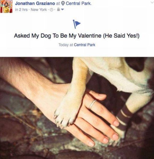 memes - Jonathan Graziano at in 2 hrs. New York . Central Park. Asked My Dog To Be My Valentine He Said Yes! Today at Central Park