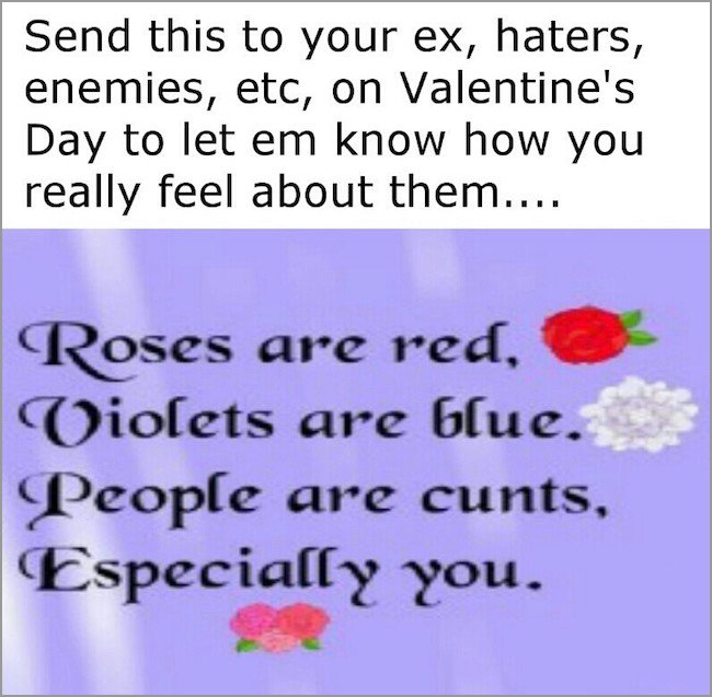 memes - petal - Send this to your ex, haters, enemies, etc, on Valentine's Day to let em know how you really feel about them.... Roses are red, Violets are blue.. People are cunts, Especially you.