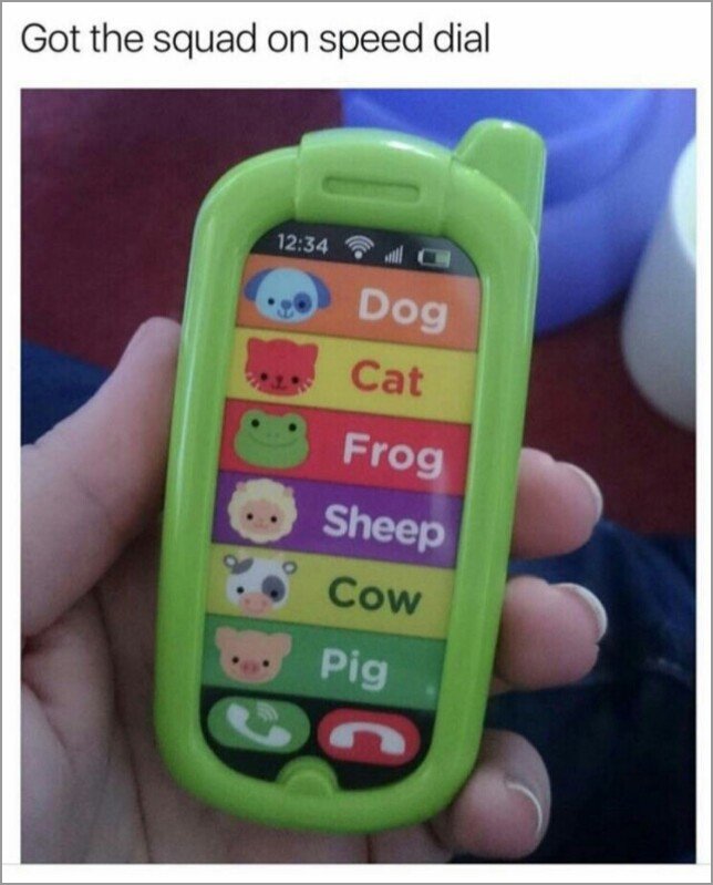 memes - got the squad on speed dial - Got the squad on speed dial Dog Cat Frog Sheep Cow .. Pig