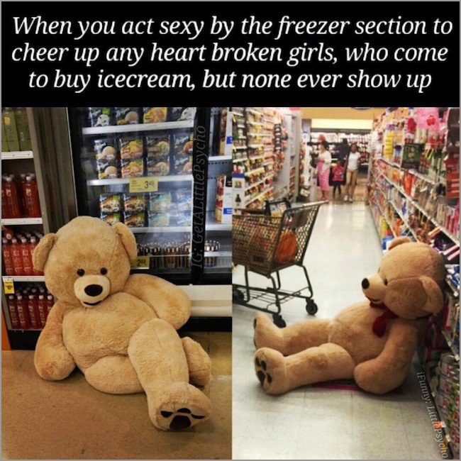 memes - teddy bear - When you act sexy by the freezer section to cheer up any heart broken girls, who come to buy icecream, but none ever show up 3 Igr GetAntitlePsycho iFunny LittlePsycho