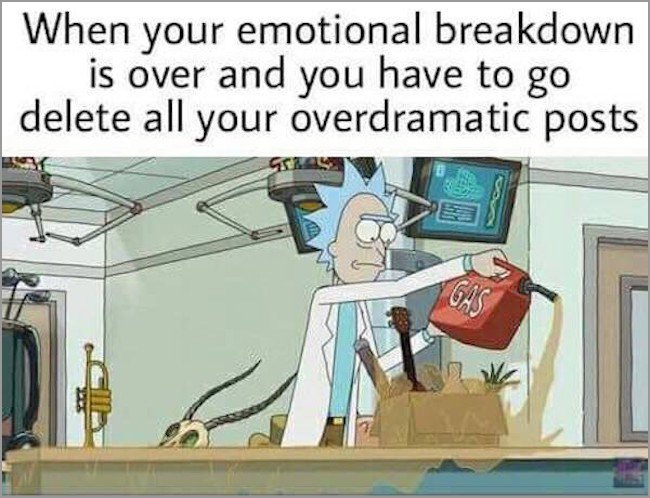 memes - funny memes rick and morty - When your emotional breakdown is over and you have to go delete all your overdramatic posts