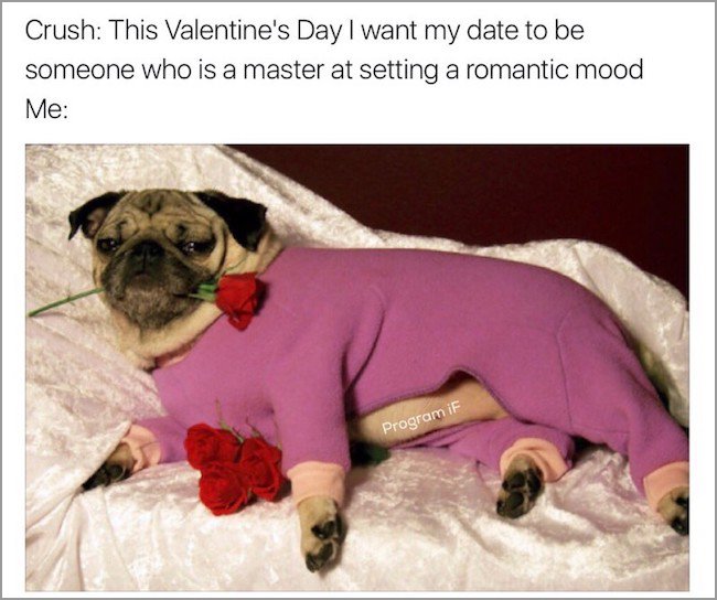 memes - fresh romantic memes - Crush This Valentine's Day I want my date to be someone who is a master at setting a romantic mood Me Program if