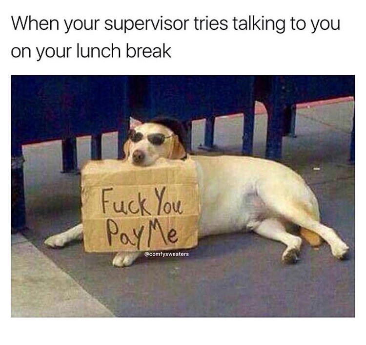 meme fuck you pay me - When your supervisor tries talking to you on your lunch break Fuck You