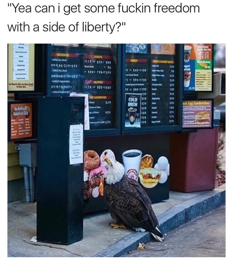 bald eagle drive thru - "Yea can i get some fuckin freedom with a side of liberty?" 394932914305 05071359 1 1731 191 1591591 2011 Coa 13 Iiiit