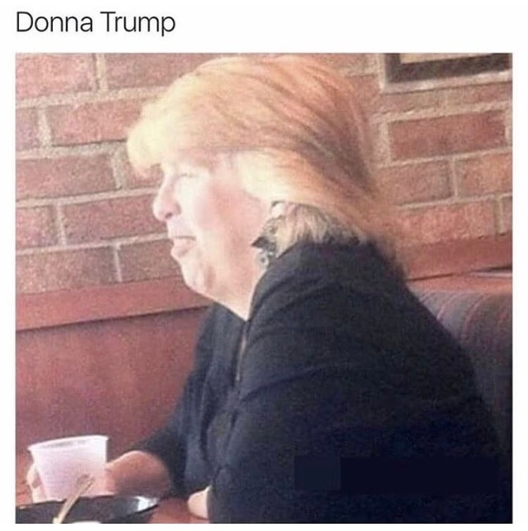 trump and hillary fusion - Donna Trump