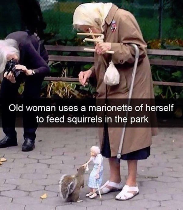 fail animal snapchats funny animal - Old woman uses a marionette of herself to feed squirrels in the park