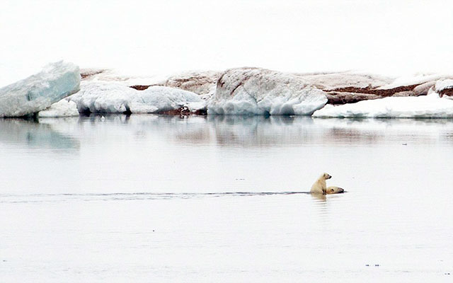 A Few Photos To Remind You That Life Is Beautiful