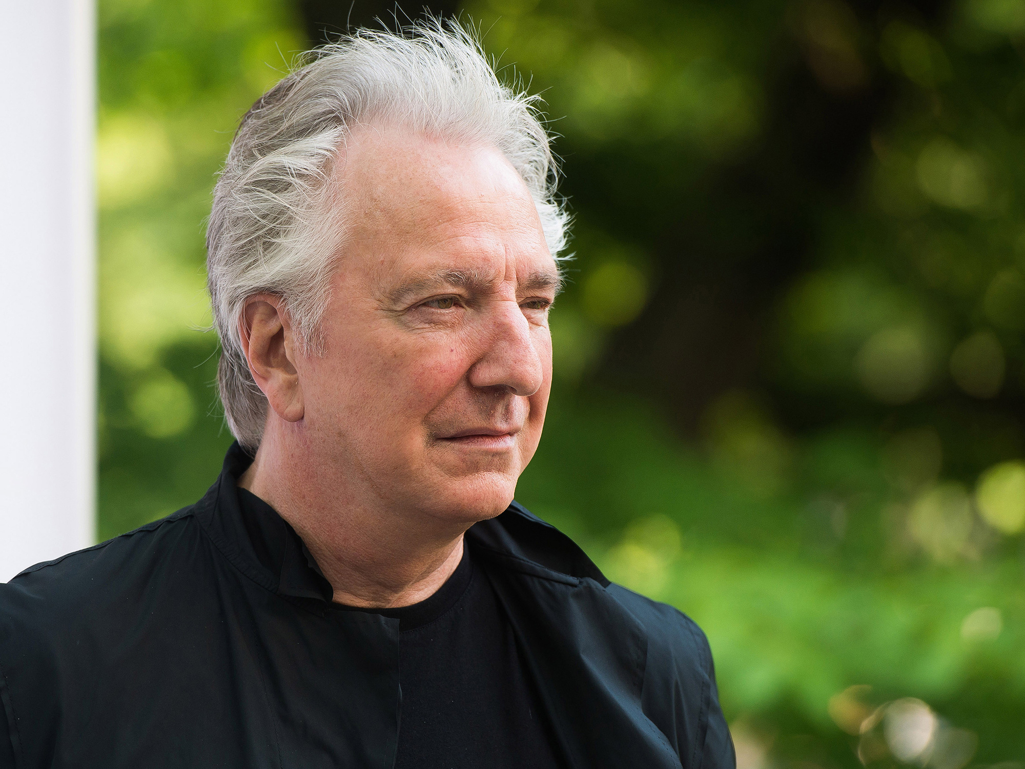 Alan Rickman.
British actor Rickman played roles in Die Hard and Robin Hood, but you might know him best as Severus Snape from Harry Potter. This is a calm photo of him before he died of cancer at the age of 69.