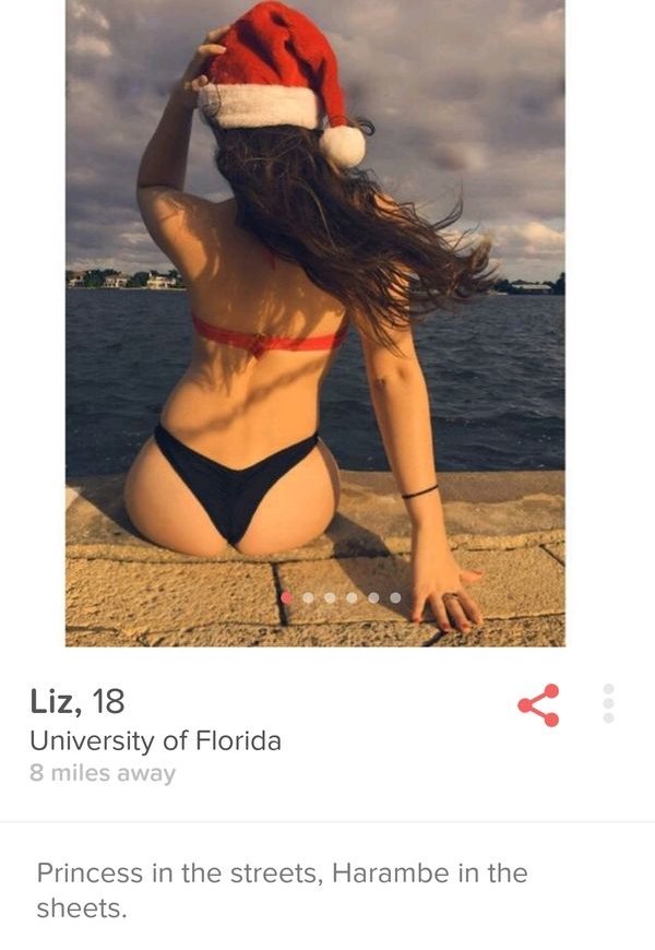 tinder - tinder ribancok - Liz, 18 University of Florida 8 miles away Princess in the streets, Harambe in the sheets.