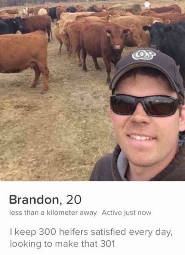 tinder - funny tinder profiles - Brandon, 20 less than a kilometer away Active just now I keep 300 heifers satisfied every day, looking to make that 301