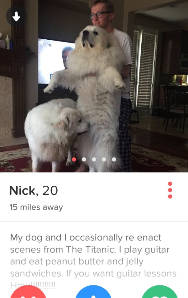 tinder - tinder profile with dogs - Tute Nick, 20 15 miles away My dog and I occasionally re enact scenes from The Titanic. I play guitar and eat peanut butter and jelly sandwiches. If you want guitar lessons