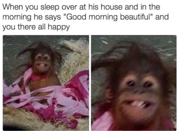 girlfriend monkey meme - When you sleep over at his house and in the morning he says "Good morning beautiful" and you there all happy