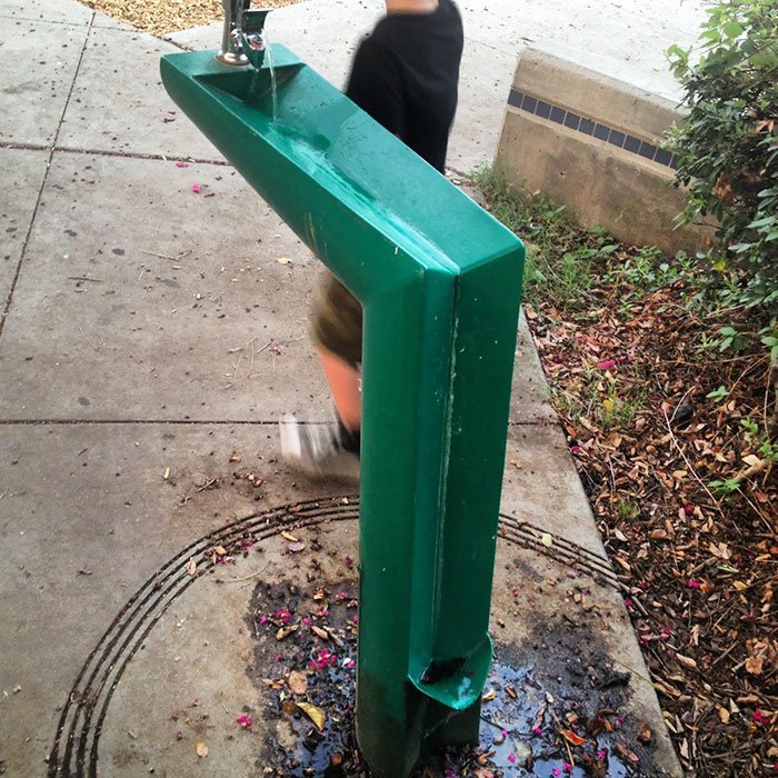 A drinking fountain with a catch for dogs.