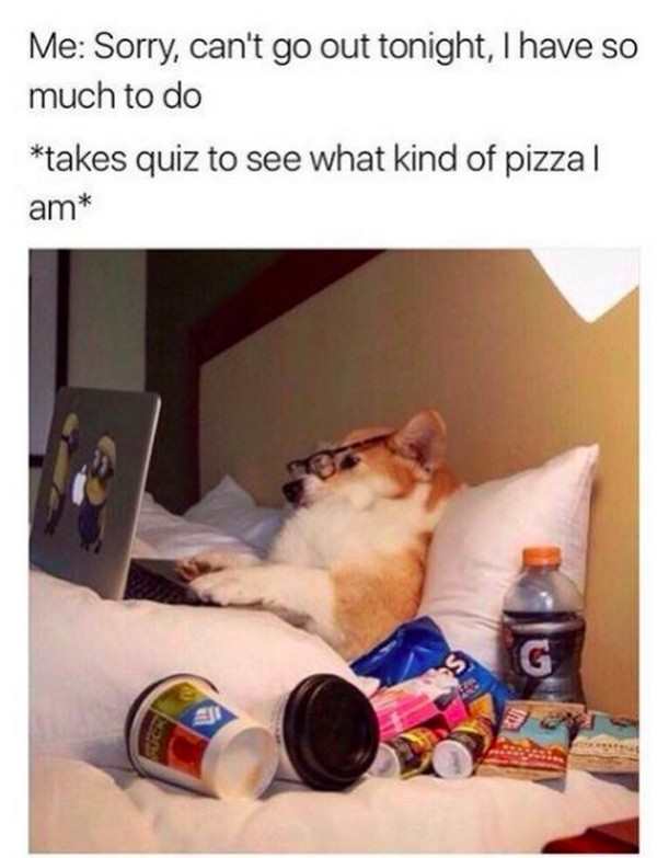 me friday night meme - Me Sorry, can't go out tonight, I have so much to do takes quiz to see what kind of pizza || am