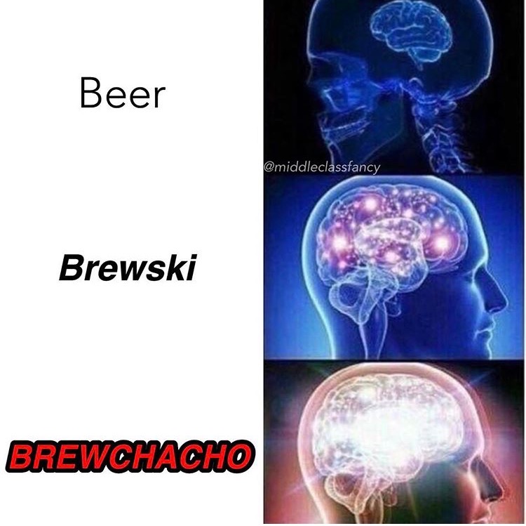 Brain size picture meme about the different ways to request a beer to indicate intelligence level.