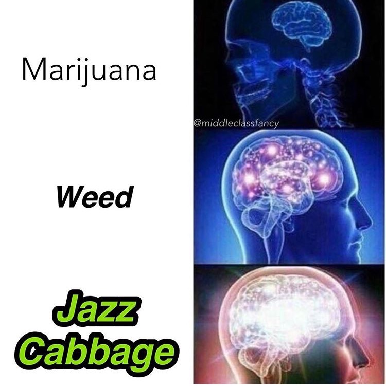 Mind expanding meme about different names people have for weed.