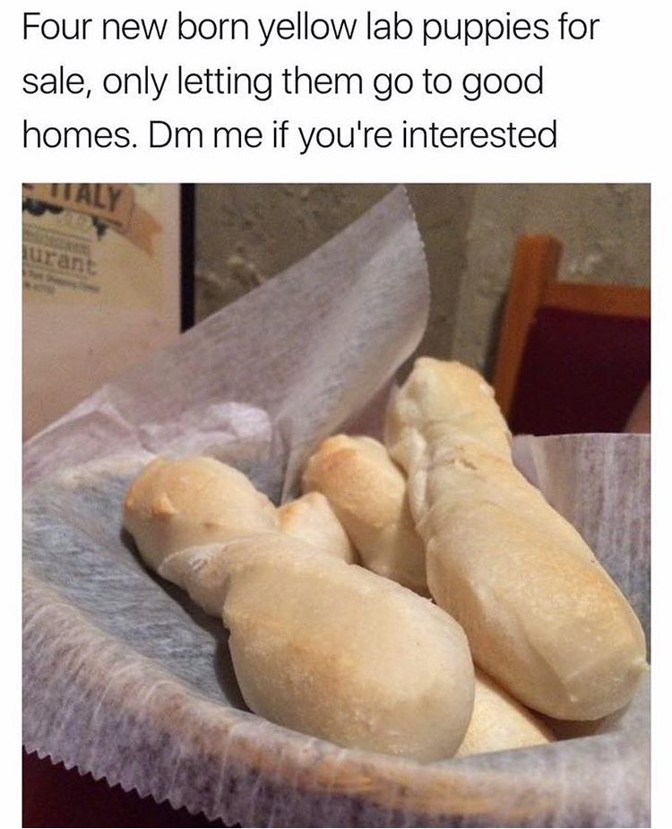 Funny picture of bread rolls captioned as a dank meme for someone selling puppies to a good home.