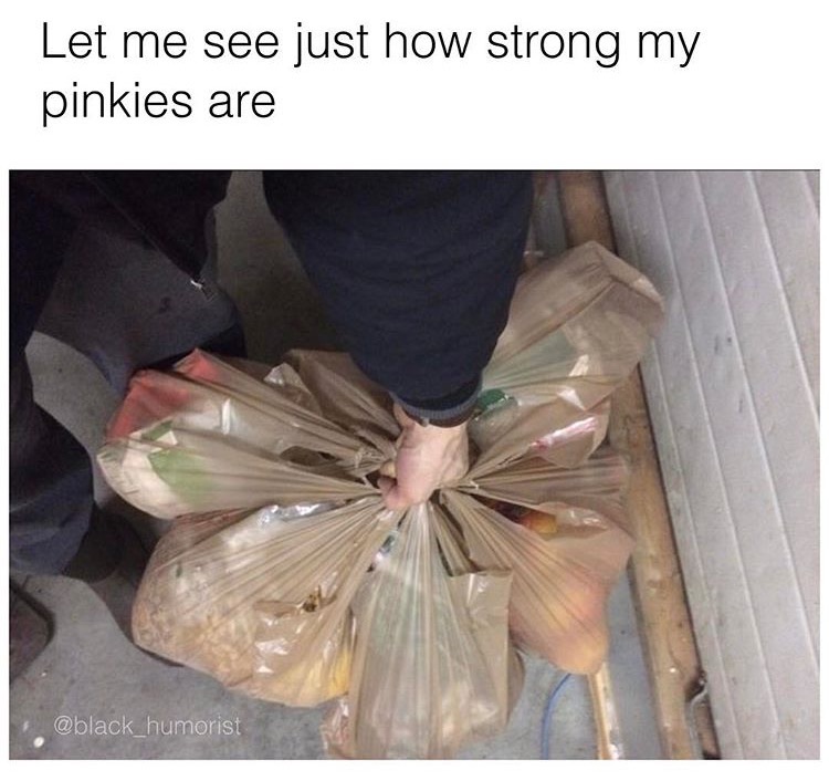 Dank meme about the familiar issue of holding grocery bags with your pinky in order to carry as many as possible.