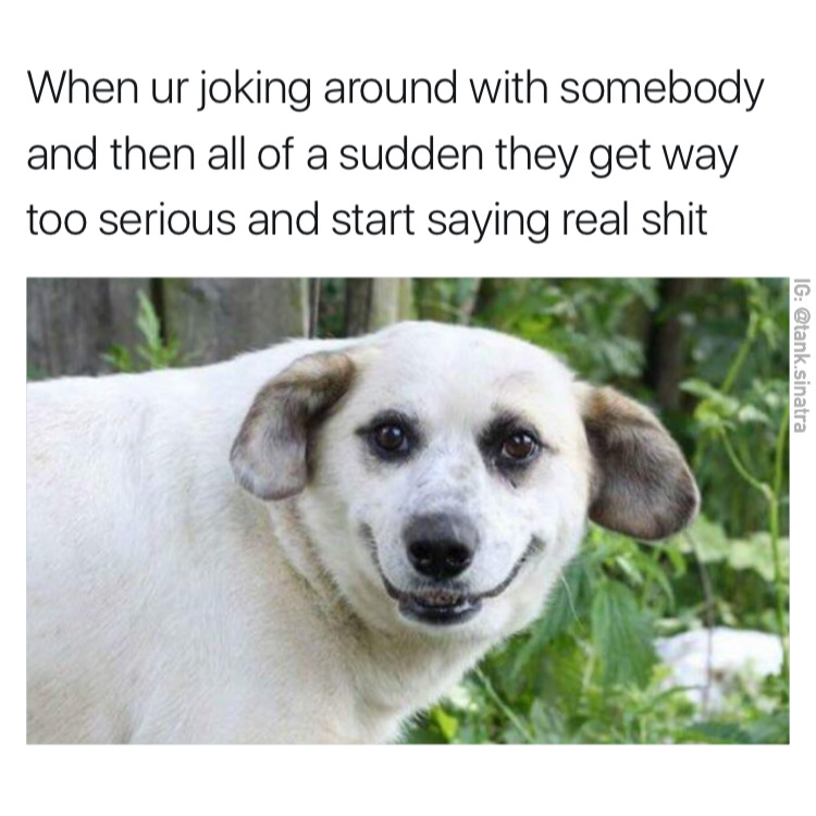 Crazy dog picture dank meme about joking around too much with somebody.