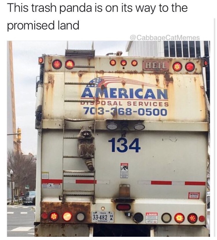 Funny meme of a dank raccoon hitching a ride on a garbage truck to the promised land.