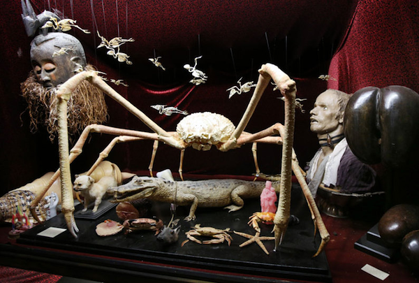 The #museum101 tag is a gallery of WTF and nopes